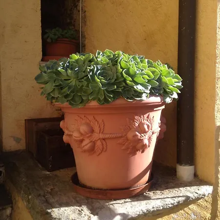 Casa Domenica Gravedona